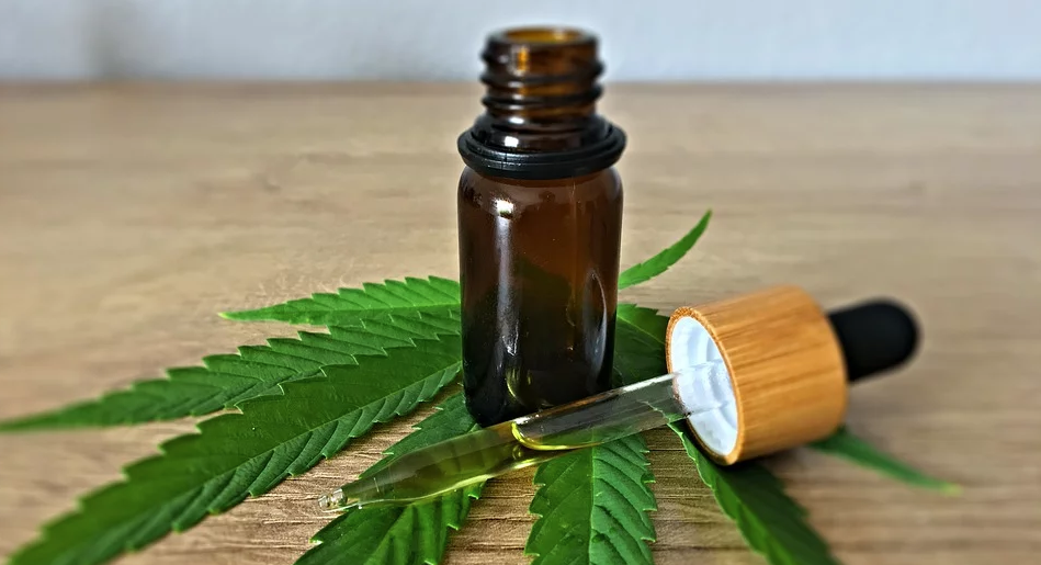 Dlaczego olej konopny CBD działa? Kilka słów o działaniu CBD na układ endokannabinoidowy