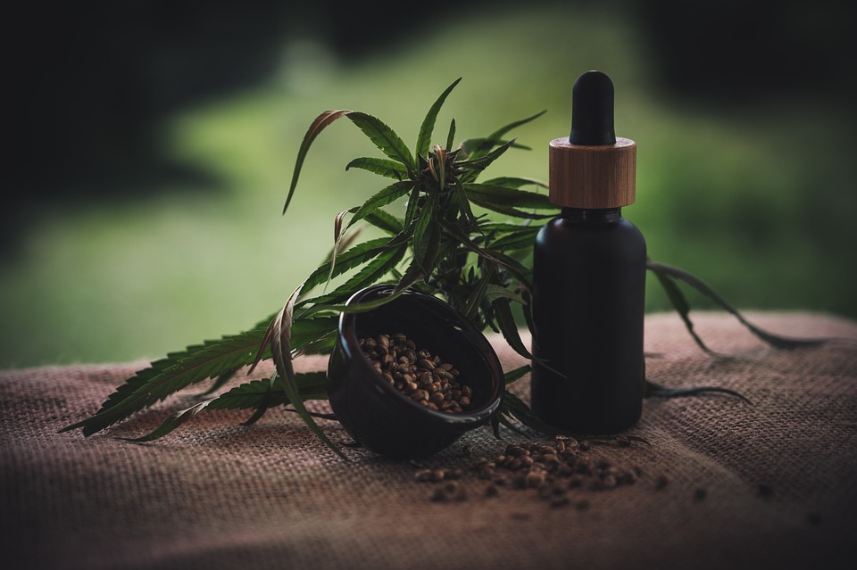 Olej CBD i jego korzyści dla układu odpornościowego